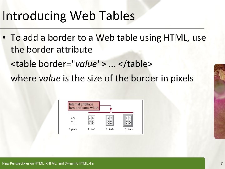 Introducing Web Tables XP • To add a border to a Web table using