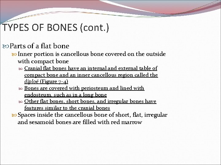 TYPES OF BONES (cont. ) Parts of a flat bone Inner portion is cancellous
