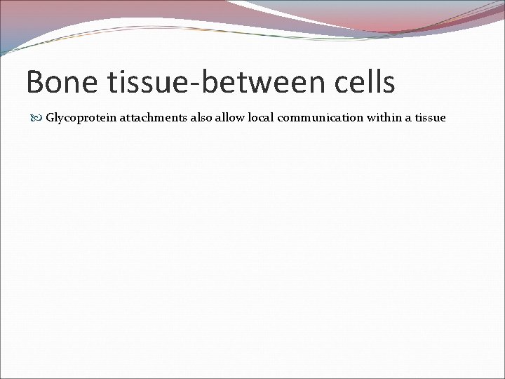 Bone tissue-between cells Glycoprotein attachments also allow local communication within a tissue 