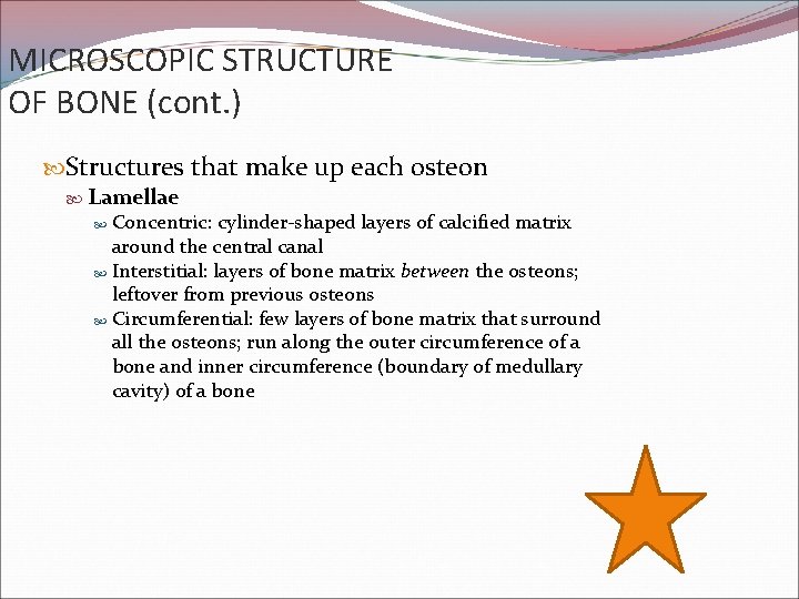 MICROSCOPIC STRUCTURE OF BONE (cont. ) Structures that make up each osteon Lamellae Concentric: