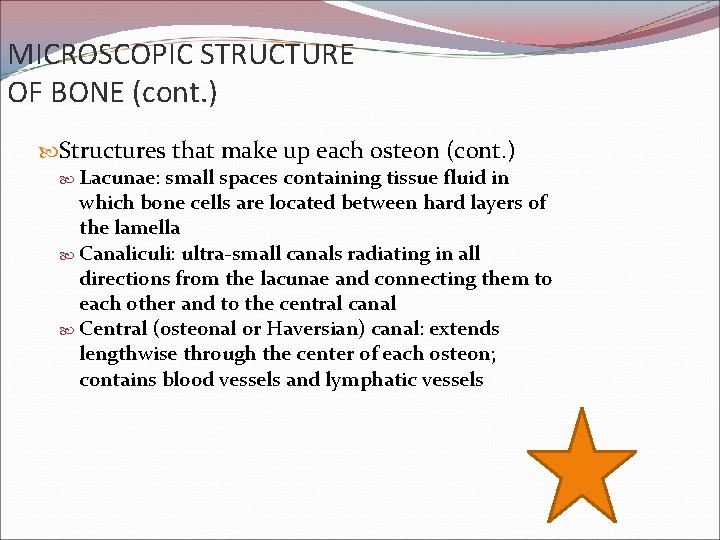 MICROSCOPIC STRUCTURE OF BONE (cont. ) Structures that make up each osteon (cont. )