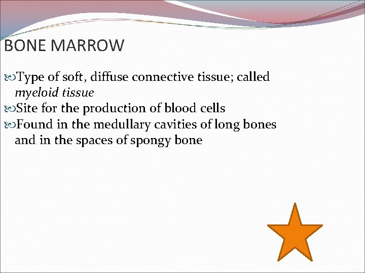 BONE MARROW Type of soft, diffuse connective tissue; called myeloid tissue Site for the