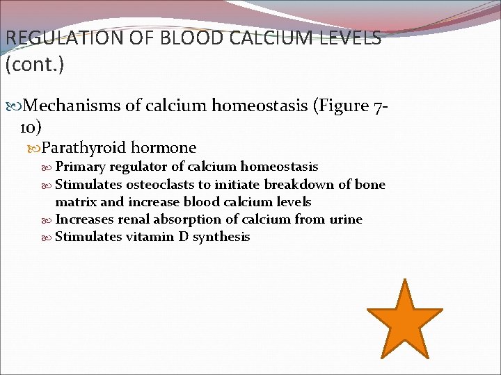 REGULATION OF BLOOD CALCIUM LEVELS (cont. ) Mechanisms of calcium homeostasis (Figure 710) Parathyroid