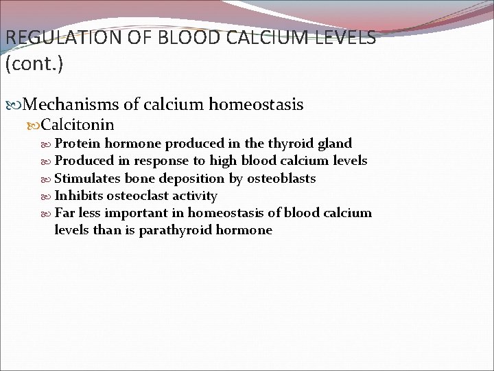 REGULATION OF BLOOD CALCIUM LEVELS (cont. ) Mechanisms of calcium homeostasis Calcitonin Protein hormone