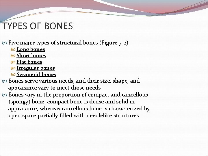 TYPES OF BONES Five major types of structural bones (Figure 7 -2) Long bones