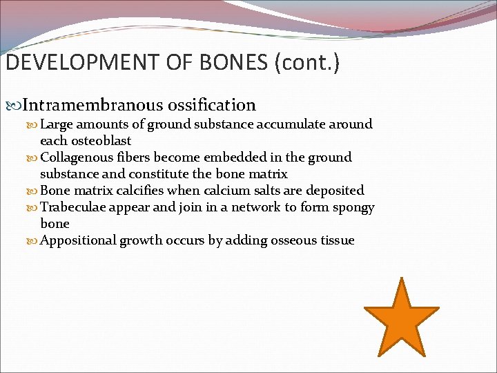DEVELOPMENT OF BONES (cont. ) Intramembranous ossification Large amounts of ground substance accumulate around
