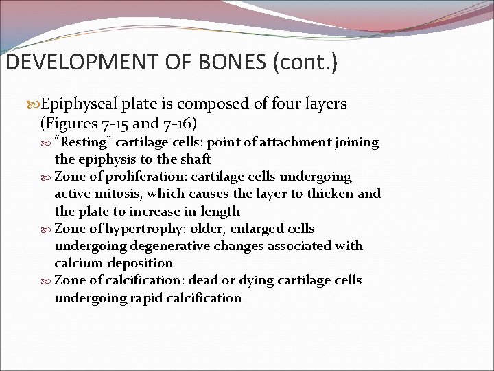 DEVELOPMENT OF BONES (cont. ) Epiphyseal plate is composed of four layers (Figures 7