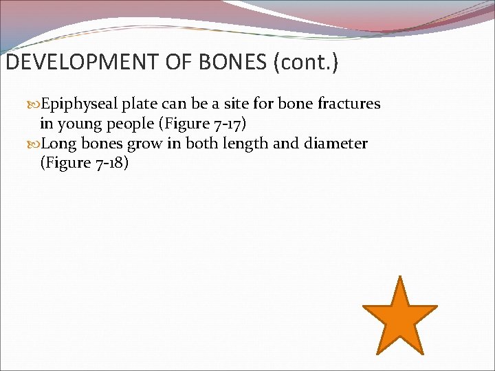 DEVELOPMENT OF BONES (cont. ) Epiphyseal plate can be a site for bone fractures