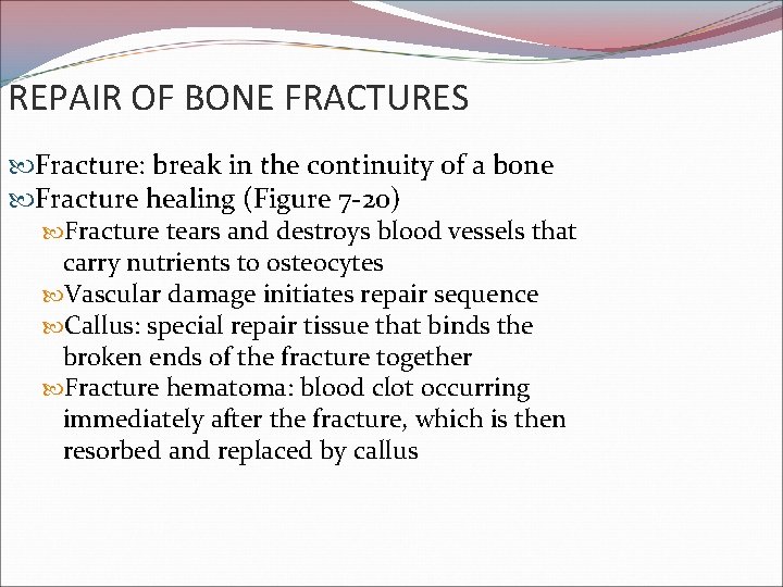 REPAIR OF BONE FRACTURES Fracture: break in the continuity of a bone Fracture healing