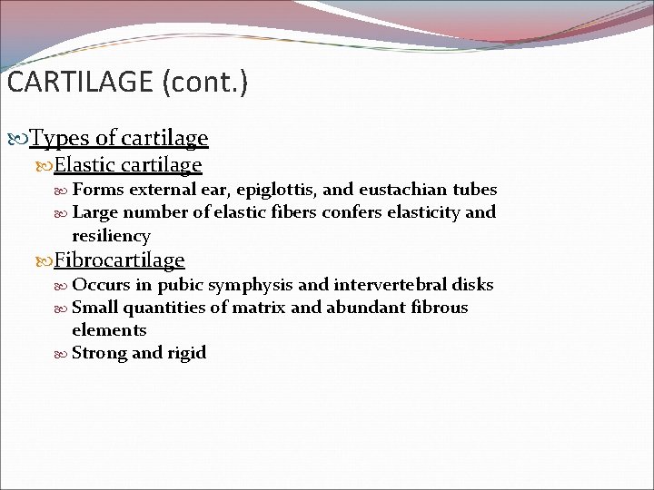 CARTILAGE (cont. ) Types of cartilage Elastic cartilage Forms external ear, epiglottis, and eustachian