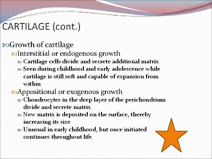 CARTILAGE (cont. ) Growth of cartilage Interstitial or endogenous growth Cartilage cells divide and