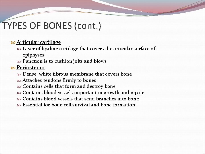 TYPES OF BONES (cont. ) Articular cartilage Layer of hyaline cartilage that covers the