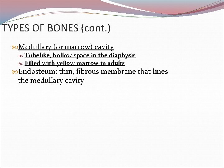 TYPES OF BONES (cont. ) Medullary (or marrow) cavity Tubelike, hollow space in the