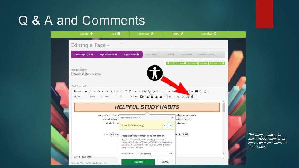 Q & A and Comments This image shows the Accessibility Checker on the TU