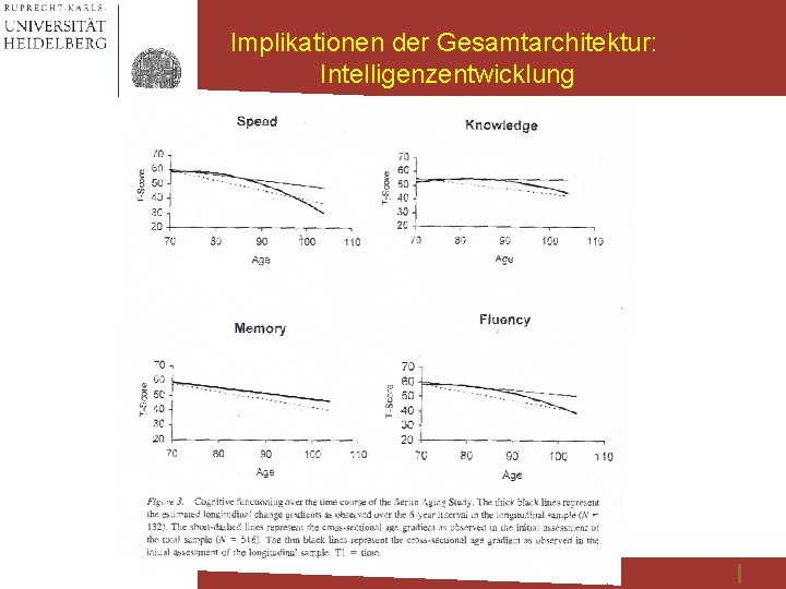 Implikationen der Gesamtarchitektur: Intelligenzentwicklung 