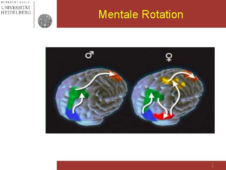 Mentale Rotation 