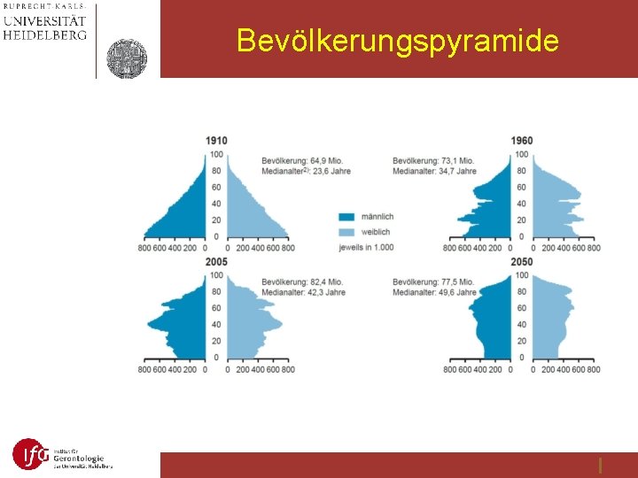 Bevölkerungspyramide 