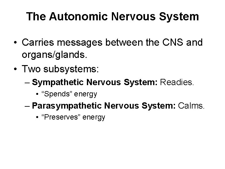 The Autonomic Nervous System • Carries messages between the CNS and organs/glands. • Two