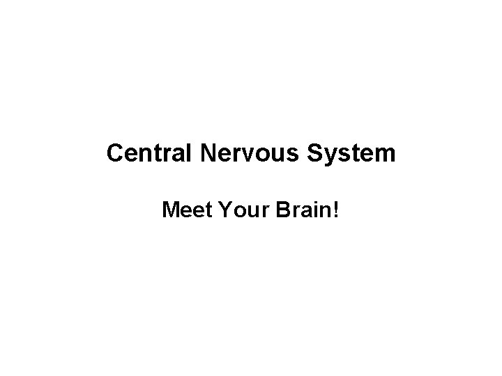 Central Nervous System Meet Your Brain! 