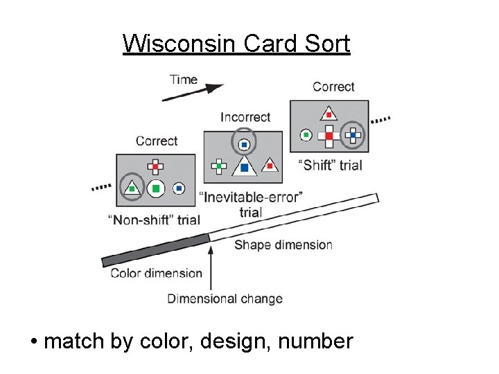 Wisconsin Card Sort • match by color, design, number 