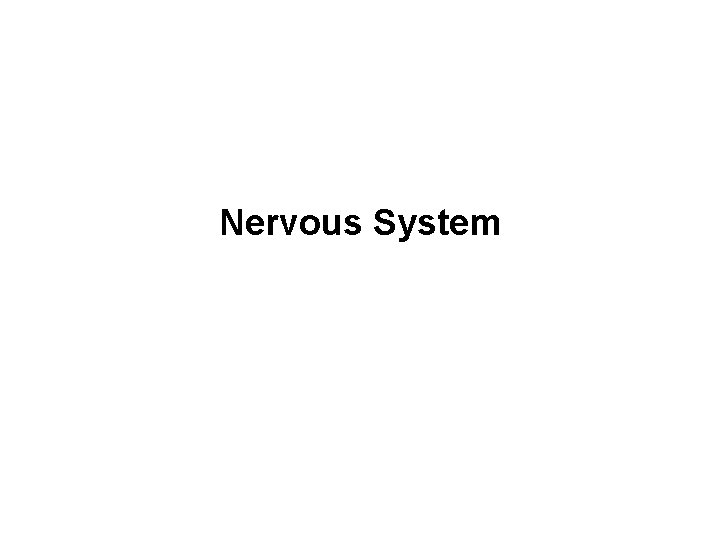Nervous System 