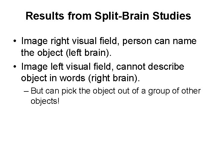 Results from Split-Brain Studies • Image right visual field, person can name the object