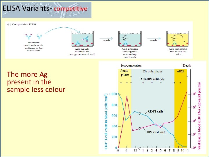 ELISA Variants- competitive The more Ag present in the sample less colour 