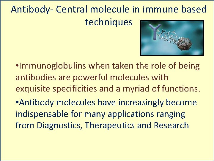 Antibody- Central molecule in immune based techniques • Immunoglobulins when taken the role of