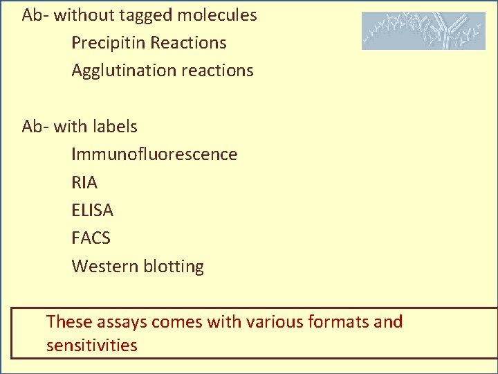 Ab- without tagged molecules Precipitin Reactions Agglutination reactions Ab- with labels Immunofluorescence RIA ELISA
