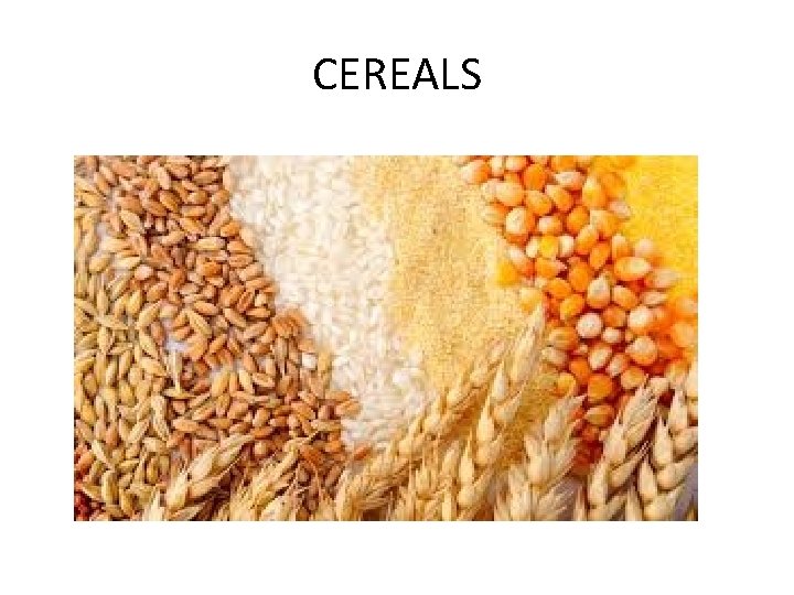 CEREALS 