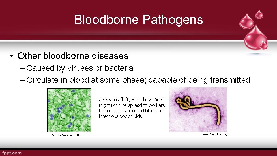 Bloodborne Pathogens • Other bloodborne diseases – Caused by viruses or bacteria – Circulate