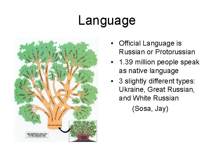 Language • Official Language is Russian or Protorussian • 1. 39 million people speak
