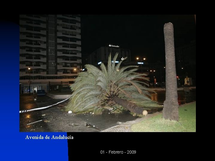 Avenida de Andalucía 01 - Febrero - 2009 