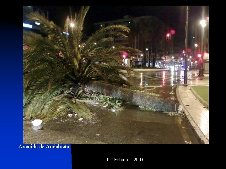 Avenida de Andalucía 01 - Febrero - 2009 