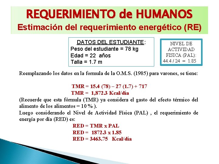 REQUERIMIENTO de HUMANOS Estimación del requerimiento energético (RE) DATOS DEL ESTUDIANTE: Peso del estudiante