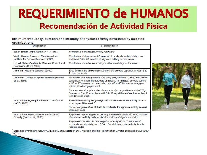 REQUERIMIENTO de HUMANOS Recomendación de Actividad Fisica 