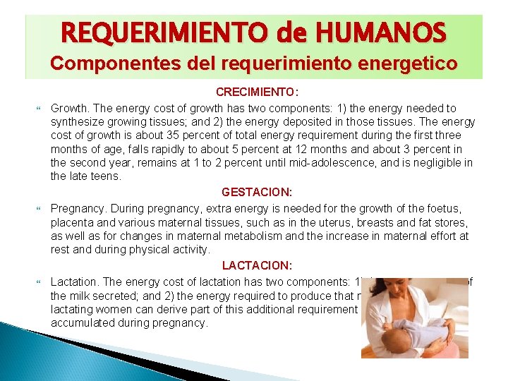 REQUERIMIENTO de HUMANOS Componentes del requerimiento energetico CRECIMIENTO: Growth. The energy cost of growth