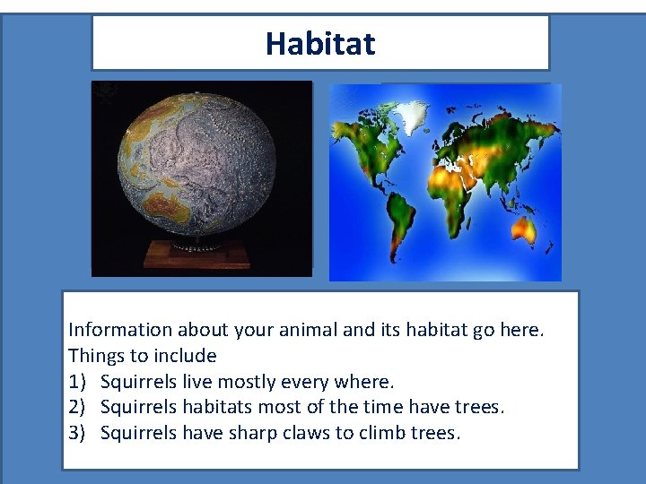 Habitat Map showing where your animal lives Picture showing your animal in its habitat.