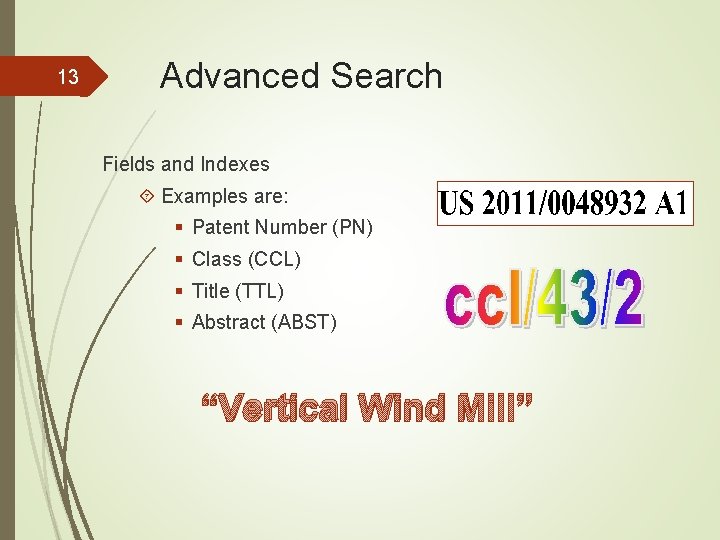 13 Advanced Search Fields and Indexes Examples are: § Patent Number (PN) § Class