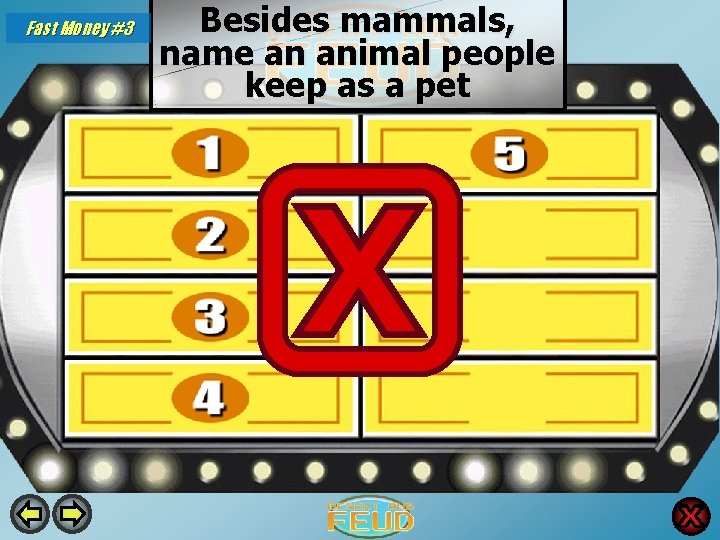Fast Money #3 Besides mammals, name an animal people keep as a pet Lizards Fast Money #3 Besides mammals, name an animal people keep as a pet Lizards