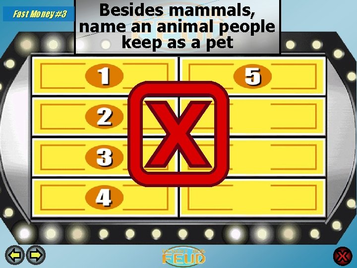 Fast Money #3 Besides mammals, name an animal people keep as a pet Lizards