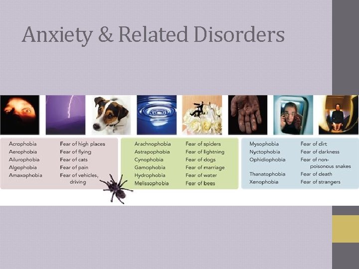 Anxiety & Related Disorders  Anxiety & Related Disorders