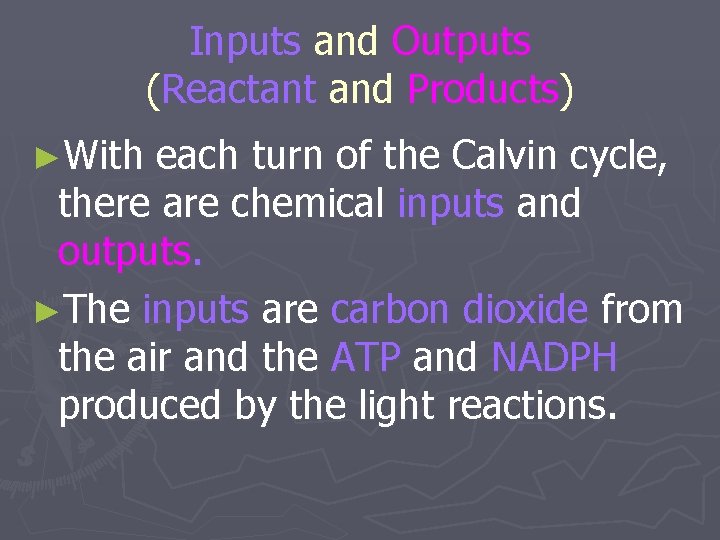 Inputs and Outputs (Reactant and Products) ►With each turn of the Calvin cycle, there