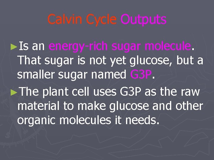 Calvin Cycle Outputs ►Is an energy-rich sugar molecule. That sugar is not yet glucose,