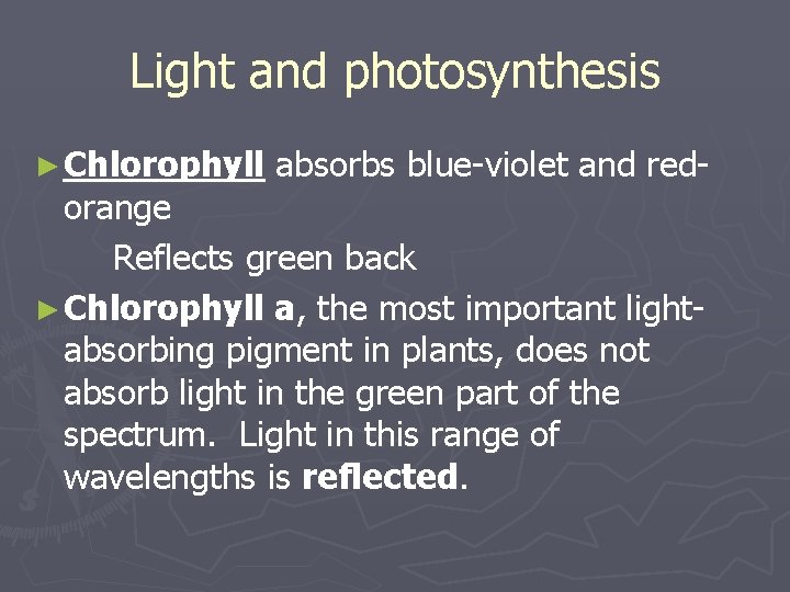 Light and photosynthesis ► Chlorophyll absorbs blue-violet and red- orange Reflects green back ►