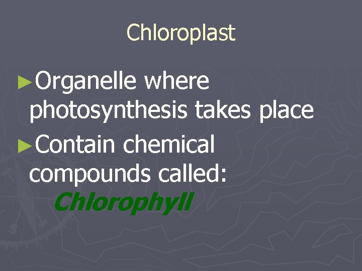 Chloroplast ►Organelle where photosynthesis takes place ►Contain chemical compounds called: Chlorophyll 