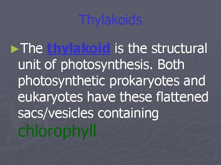 Thylakoids ►The thylakoid is the structural unit of photosynthesis. Both photosynthetic prokaryotes and eukaryotes