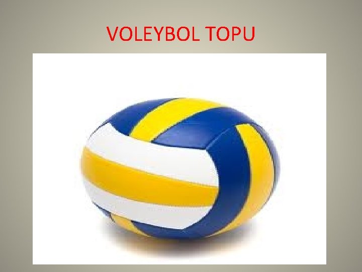 VOLEYBOL TOPU 