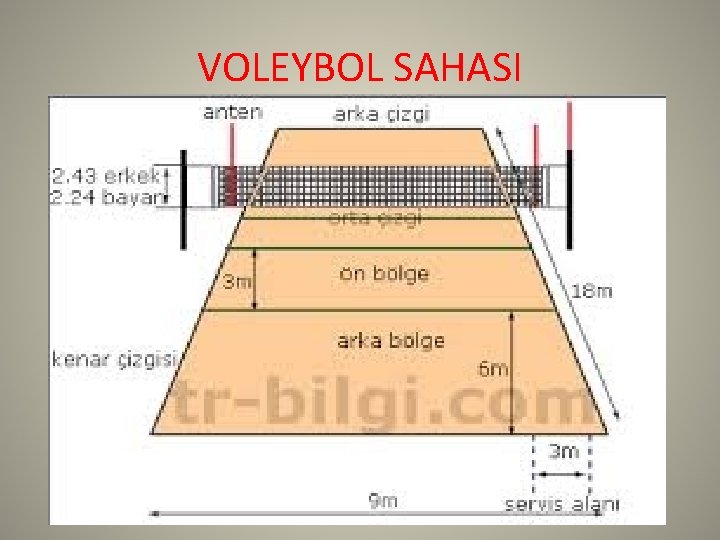 VOLEYBOL SAHASI 