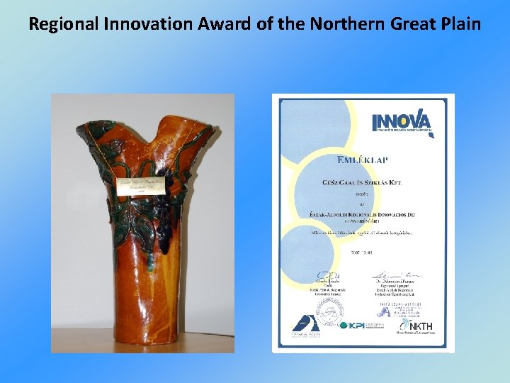 Regional Innovation Award of the Northern Great Plain 